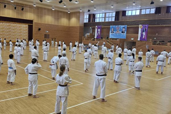 Shorin-ryu Karate