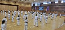 Shorin-ryu Karate