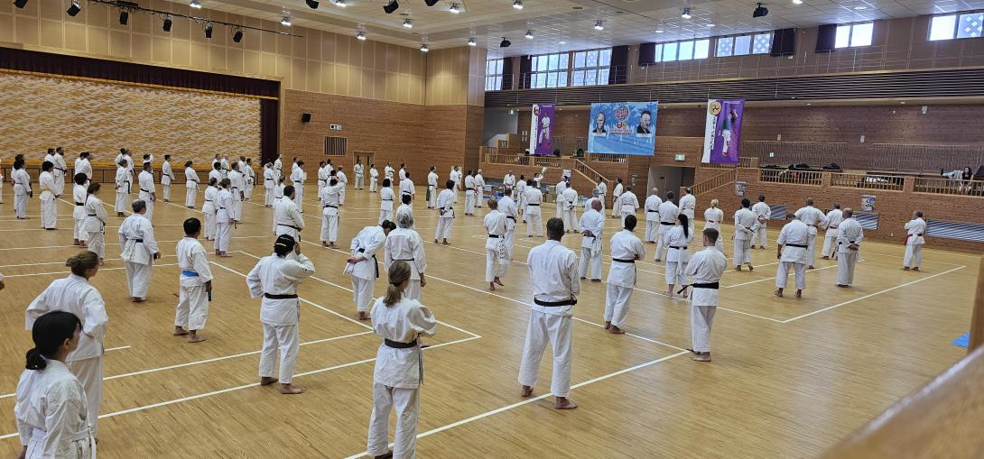 Shorin-ryu Karate